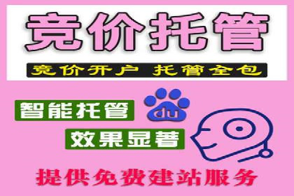 竞价排名关键词优化实战案例分析